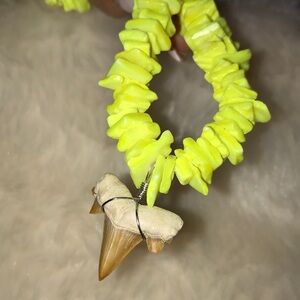 Unisex SeaShell Shark Tooth NEON YELLOW Choker Necklace NWT